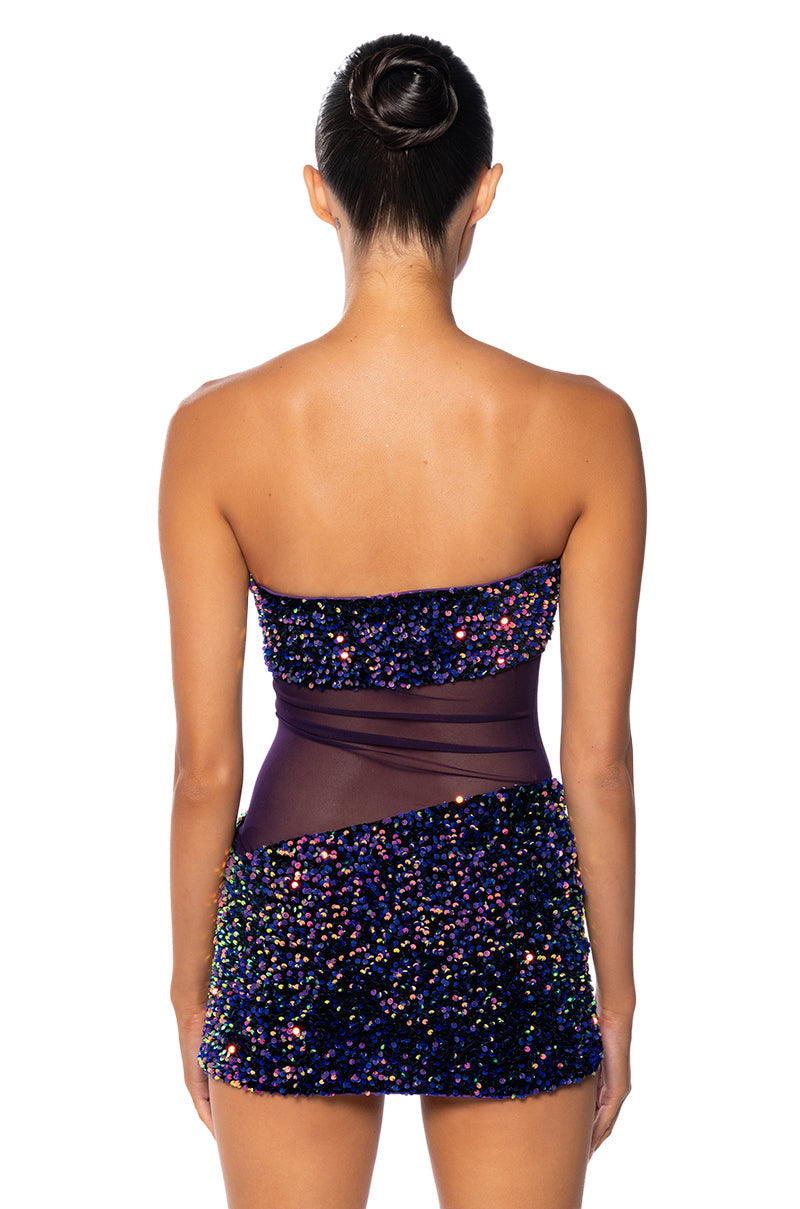 ENJOY THE VIEW MESH PANEL DRESS IN DARK PURPLE
