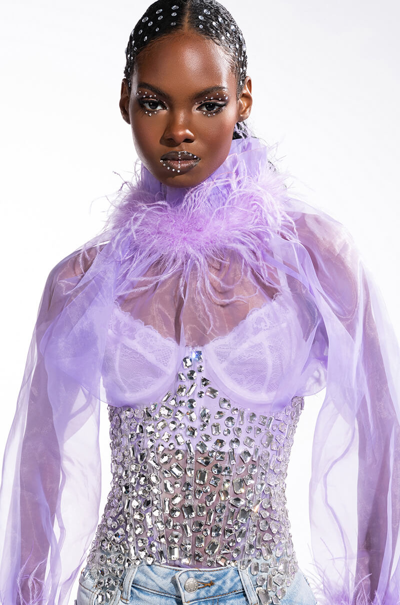 NICE TO MEET YOU FEATHER TRIM LONG SLEEVE ORGANZA BLOUSE