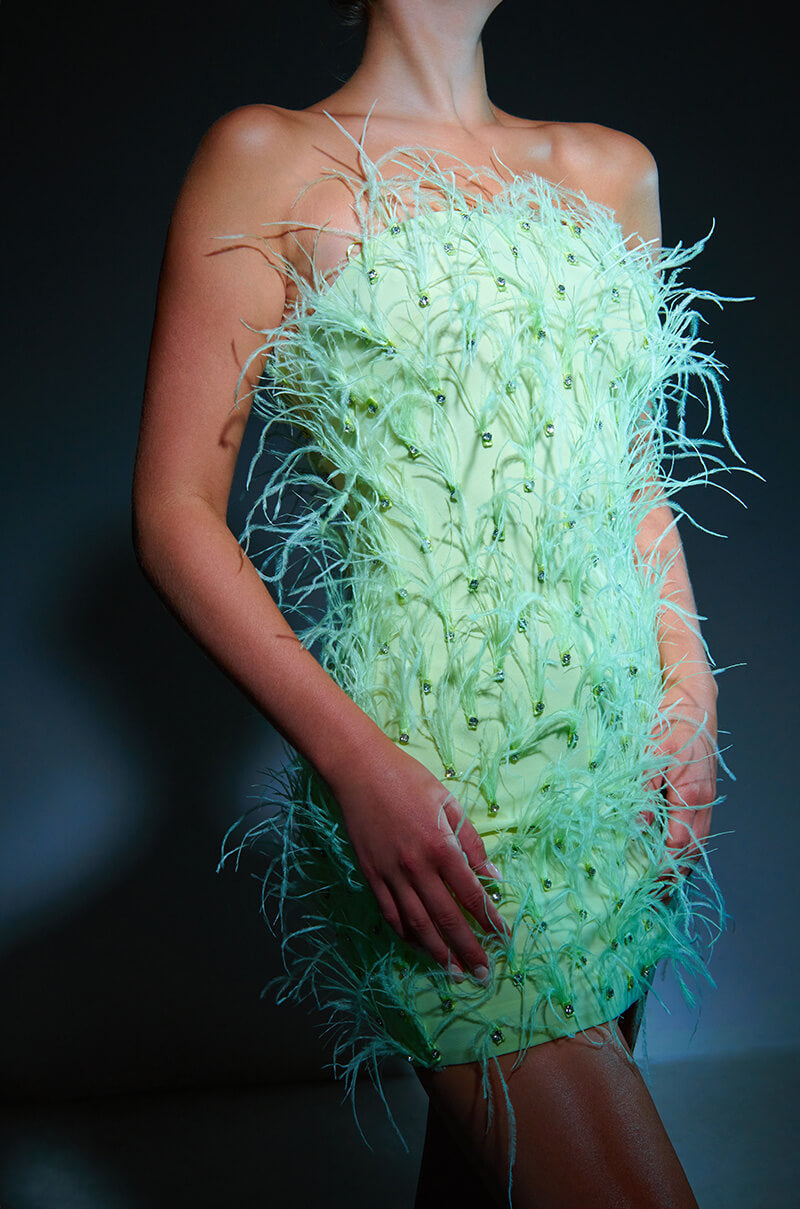 PRIMROSE STRAPLESS FEATHER MINI DRESS